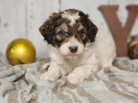 processed/f4c93868-8603-41f2-b9d8-481940d7aaf6/listing/33058669-3064-4512-9a1c-8af022e22bd2/44434cdc-3a28-449d-8c3d-8f22f9b9ee3c