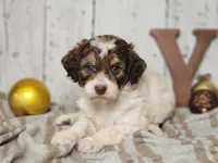 processed/f4c93868-8603-41f2-b9d8-481940d7aaf6/listing/33058669-3064-4512-9a1c-8af022e22bd2/b3a87fe7-f4e4-4287-9399-7be13248345b