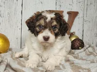 processed/f4c93868-8603-41f2-b9d8-481940d7aaf6/listing/33058669-3064-4512-9a1c-8af022e22bd2/c2fb7602-45c5-4278-b8cb-2aafa3264f7f