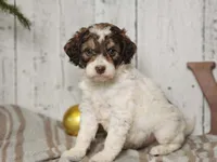 processed/f4c93868-8603-41f2-b9d8-481940d7aaf6/listing/33058669-3064-4512-9a1c-8af022e22bd2/d9b9d536-3024-4ba9-9cce-26894242f708