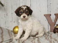 processed/f4c93868-8603-41f2-b9d8-481940d7aaf6/listing/33058669-3064-4512-9a1c-8af022e22bd2/df9d2073-f1b6-4a3d-a800-5f8ddb740605