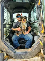 Dolly, a female Miniature Australian Shepherd for sale in Silver Lake, IN – 7 of 7