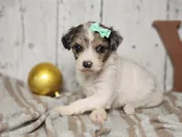 processed/f4c93868-8603-41f2-b9d8-481940d7aaf6/listing/7539b478-6ac8-4413-bb40-22835734081b/314535d4-03ea-474e-8635-cc84c3ddb9b6