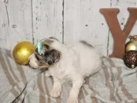 processed/f4c93868-8603-41f2-b9d8-481940d7aaf6/listing/7539b478-6ac8-4413-bb40-22835734081b/5407d5a2-1ead-4890-9326-9d705a016aad