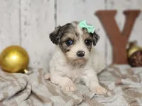 processed/f4c93868-8603-41f2-b9d8-481940d7aaf6/listing/7539b478-6ac8-4413-bb40-22835734081b/7a9a1bb5-48c7-4d26-ac9a-223c3e1068ae