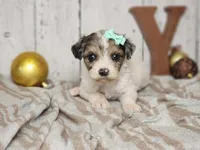 processed/f4c93868-8603-41f2-b9d8-481940d7aaf6/listing/7539b478-6ac8-4413-bb40-22835734081b/7c200c0e-670c-40fa-a5ff-9f57d09ae4be