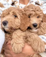 processed/f4cbc1af-3a42-4077-b7ea-a50e6ee48091/facility/4f34b4d4-4cf8-4b60-b8de-287b718dfc33