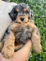 processed/f4cbc1af-3a42-4077-b7ea-a50e6ee48091/listing/08a90731-e240-4d95-9f5b-5da397f40dfc/ace041e5-ac80-405f-b1dd-a98d654bcf5d