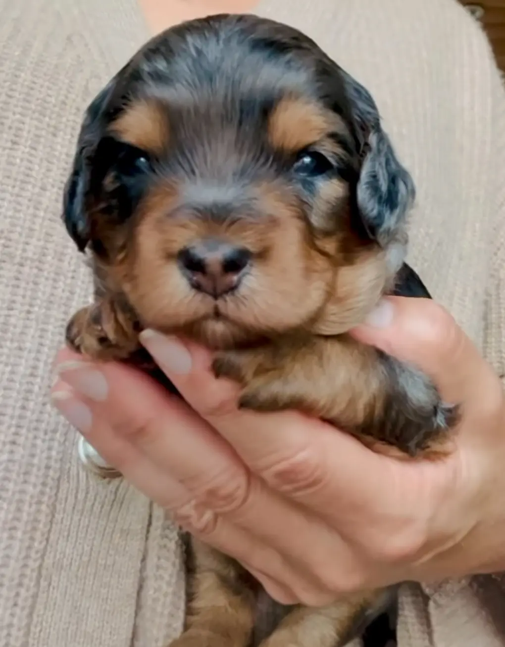 processed/f4cbc1af-3a42-4077-b7ea-a50e6ee48091/listing/08a90731-e240-4d95-9f5b-5da397f40dfc/b54f7554-02f3-4a72-92aa-f57b3dc61863