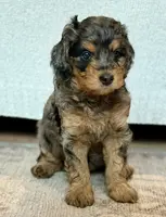 processed/f4cbc1af-3a42-4077-b7ea-a50e6ee48091/listing/08a90731-e240-4d95-9f5b-5da397f40dfc/bda80ebd-3051-483f-9844-f1696a0d2759