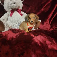 processed/f4d7e855-a594-419f-aa12-0410a5d6bb5a/listing/71652dd9-4706-4bde-a0d7-1a293eafd44e/0e82ea01-c5b0-46a3-b080-ac837d55b496