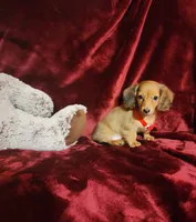 processed/f4d7e855-a594-419f-aa12-0410a5d6bb5a/listing/71652dd9-4706-4bde-a0d7-1a293eafd44e/29471f8e-984c-447a-8aeb-45ae4166d215