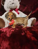 processed/f4d7e855-a594-419f-aa12-0410a5d6bb5a/listing/71652dd9-4706-4bde-a0d7-1a293eafd44e/3715c29e-8587-41cf-bdea-21969af538b7