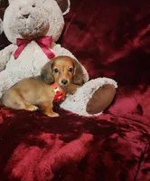 processed/f4d7e855-a594-419f-aa12-0410a5d6bb5a/listing/71652dd9-4706-4bde-a0d7-1a293eafd44e/55006815-8842-4608-86cf-9c68aa4d05fd