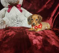 processed/f4d7e855-a594-419f-aa12-0410a5d6bb5a/listing/71652dd9-4706-4bde-a0d7-1a293eafd44e/6ae36032-8146-4536-9901-bcdb4a777c03