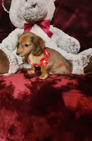 processed/f4d7e855-a594-419f-aa12-0410a5d6bb5a/listing/71652dd9-4706-4bde-a0d7-1a293eafd44e/a73d7b60-6387-4436-859b-5cd85eeded89