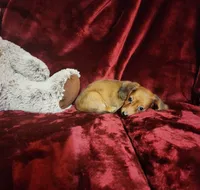 processed/f4d7e855-a594-419f-aa12-0410a5d6bb5a/listing/71652dd9-4706-4bde-a0d7-1a293eafd44e/c6e571d4-ee82-44fa-9803-eff75f55fbd7