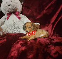 processed/f4d7e855-a594-419f-aa12-0410a5d6bb5a/listing/71652dd9-4706-4bde-a0d7-1a293eafd44e/e1bbc7e3-be8d-4713-98ff-e5cc4f4c224a