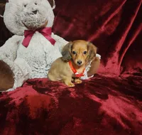 processed/f4d7e855-a594-419f-aa12-0410a5d6bb5a/listing/71652dd9-4706-4bde-a0d7-1a293eafd44e/e986ecb5-793f-449c-9af9-fe3921f474ca