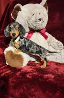 DOLLY, a female Miniature Dachshund for sale in Polk City, FL – 8 of 10
