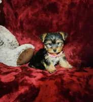 processed/f4d7e855-a594-419f-aa12-0410a5d6bb5a/listing/cd2e4176-8789-4f28-807d-77fa2b01e234/0cc7a8fd-51a7-4822-b598-8c88724812e3