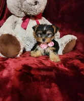 processed/f4d7e855-a594-419f-aa12-0410a5d6bb5a/listing/cd2e4176-8789-4f28-807d-77fa2b01e234/2f4c3db9-6335-4722-994f-8652a33b50a2