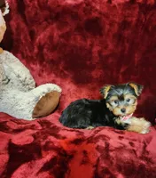 processed/f4d7e855-a594-419f-aa12-0410a5d6bb5a/listing/cd2e4176-8789-4f28-807d-77fa2b01e234/4c1b0e42-bc63-4fc6-8c63-0371e1096efc