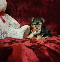 processed/f4d7e855-a594-419f-aa12-0410a5d6bb5a/listing/cd2e4176-8789-4f28-807d-77fa2b01e234/5b709276-494d-408a-a79f-c0fd562aba49