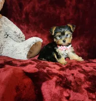 processed/f4d7e855-a594-419f-aa12-0410a5d6bb5a/listing/cd2e4176-8789-4f28-807d-77fa2b01e234/7bd5e3ca-399f-4f54-8a92-1dc93f725bbd