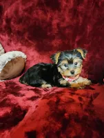 processed/f4d7e855-a594-419f-aa12-0410a5d6bb5a/listing/cd2e4176-8789-4f28-807d-77fa2b01e234/82ac3801-2c6d-4d7e-9ab5-8e8775b9641e