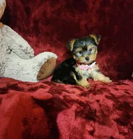 processed/f4d7e855-a594-419f-aa12-0410a5d6bb5a/listing/cd2e4176-8789-4f28-807d-77fa2b01e234/a780b691-3106-4fa5-997b-696f02eaf159