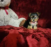 processed/f4d7e855-a594-419f-aa12-0410a5d6bb5a/listing/cd2e4176-8789-4f28-807d-77fa2b01e234/cf8e95fe-17ff-4483-84d6-d1f579427e99