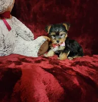 processed/f4d7e855-a594-419f-aa12-0410a5d6bb5a/listing/cd2e4176-8789-4f28-807d-77fa2b01e234/ddeda6a5-8eae-4581-a98b-6e799460402b