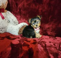 processed/f4d7e855-a594-419f-aa12-0410a5d6bb5a/listing/cd2e4176-8789-4f28-807d-77fa2b01e234/ddef22da-dfe3-4626-a4f3-cd73b3d0a623