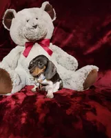 processed/f4d7e855-a594-419f-aa12-0410a5d6bb5a/listing/e5b90369-eef1-4155-b7fe-13e65da9f186/04377108-b6b0-4a42-bb7d-c88e2f3e01de