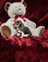 processed/f4d7e855-a594-419f-aa12-0410a5d6bb5a/listing/e5b90369-eef1-4155-b7fe-13e65da9f186/2d9fa8c1-c3b4-4b7c-b047-74ab646f76e6