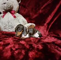 processed/f4d7e855-a594-419f-aa12-0410a5d6bb5a/listing/e5b90369-eef1-4155-b7fe-13e65da9f186/2de5bceb-c0cd-4c35-b79d-a369d334479b