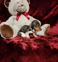 processed/f4d7e855-a594-419f-aa12-0410a5d6bb5a/listing/e5b90369-eef1-4155-b7fe-13e65da9f186/607127dd-0a83-435c-bd5f-f87a622fa304