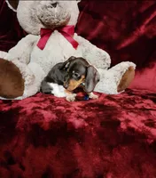 processed/f4d7e855-a594-419f-aa12-0410a5d6bb5a/listing/e5b90369-eef1-4155-b7fe-13e65da9f186/8a428c87-2f3b-4e9a-926e-4c60aa030e80