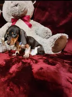 processed/f4d7e855-a594-419f-aa12-0410a5d6bb5a/listing/e5b90369-eef1-4155-b7fe-13e65da9f186/8f6e07b5-d5b3-4d84-92c3-343da27d5eb4