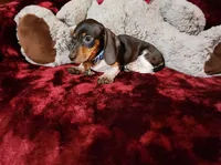 processed/f4d7e855-a594-419f-aa12-0410a5d6bb5a/listing/e5b90369-eef1-4155-b7fe-13e65da9f186/a4b9682f-f24d-422d-bd2a-66fe718a8bfa