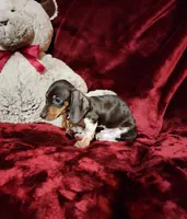 processed/f4d7e855-a594-419f-aa12-0410a5d6bb5a/listing/e5b90369-eef1-4155-b7fe-13e65da9f186/b4bf9be2-c023-4695-9850-b4c2437a9b6a