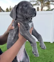 processed/f4e3b7a2-f74e-4f5a-a0ce-db14b7118e70/listing/8bd026f3-e36f-4095-8dc2-5a46c466fd04/2634052b-cf5c-4718-8efb-f6695d7a8627