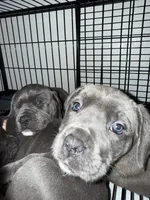 processed/f4e3b7a2-f74e-4f5a-a0ce-db14b7118e70/listing/926b0054-703f-4f94-83b3-b74fe0cfcb05/e31dd120-3f7e-485e-bc93-92e6fd95d099