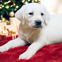 processed/f4eccdb5-0c11-4f4b-9bdf-2d984dd12ead/facility/4c9205f0-3454-40bc-8a86-5707ea0ff088