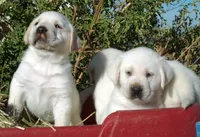 processed/f4eccdb5-0c11-4f4b-9bdf-2d984dd12ead/facility/566d4710-965b-46bd-8045-30fe4535cb9f