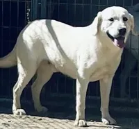 processed/f4eccdb5-0c11-4f4b-9bdf-2d984dd12ead/facility/84b36f13-908a-4b19-ac56-91ca5a5f6666