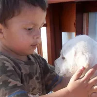 processed/f4eccdb5-0c11-4f4b-9bdf-2d984dd12ead/facility/8a7f14a0-6df8-4702-81a6-976a63cf4336