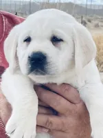 processed/f4eccdb5-0c11-4f4b-9bdf-2d984dd12ead/facility/c11e29dd-cc49-44ab-9b78-6da625158873