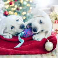 processed/f4eccdb5-0c11-4f4b-9bdf-2d984dd12ead/facility/c4c1aa0d-b96b-4119-96d9-fd499f36d4ea